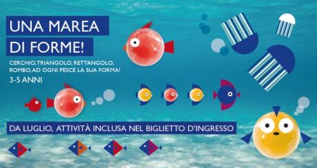 A Explora Una Marea di Forme - Laboratorio 3-5 anni
