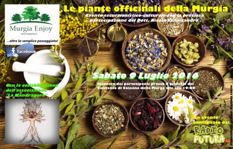 Le piante officinali della Murgia