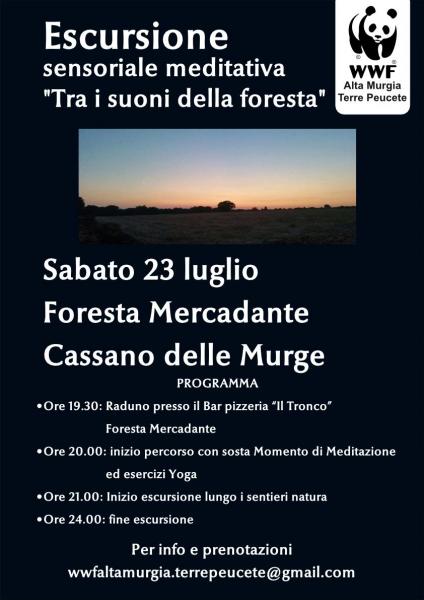 Escursione sensoriale meditativa "tra i suoni della foresta"