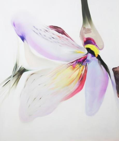 Isabella Nazzarri. Albedo