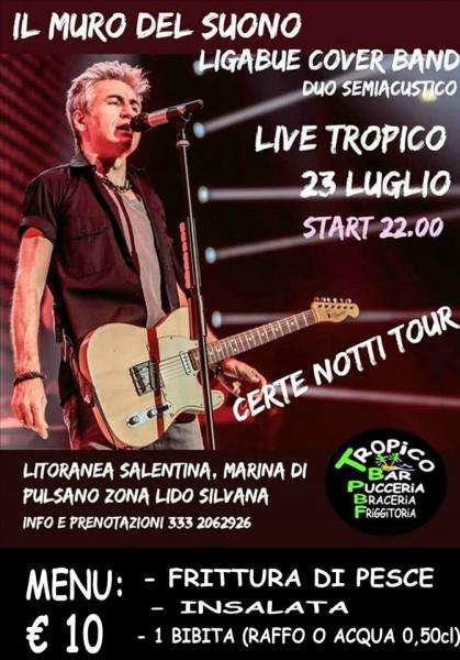 Il muro del suono - Ligabue cover band