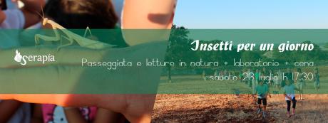 Insetti per un giorno