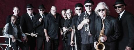 Ceglie Summer Festival| The Original Blues Brothers Band