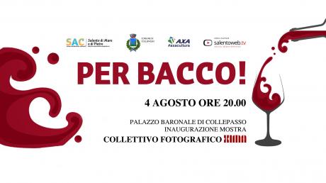 Per Bacco! - Mostra Fotografica