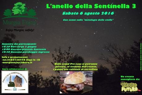 L'anello della Sentinella 3