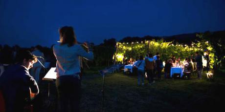 Calici di Stelle in cantina