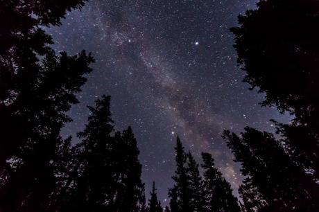 Camminando nel bosco osservando le stelle