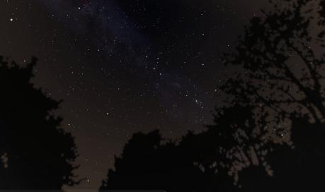 Le stelle nel bosco
