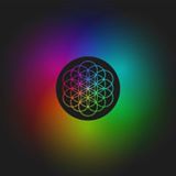 The Cold - Cold Play Tribute Band