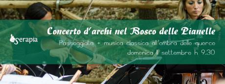 Concerto d'archi nel Bosco delle Pianelle