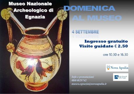 Domenica al Museo