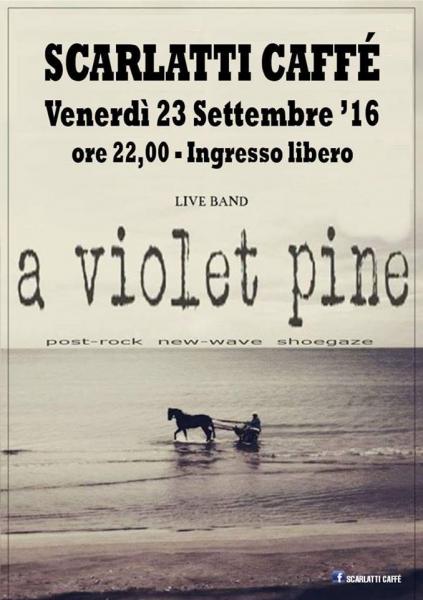 A Violet Pine in concerto