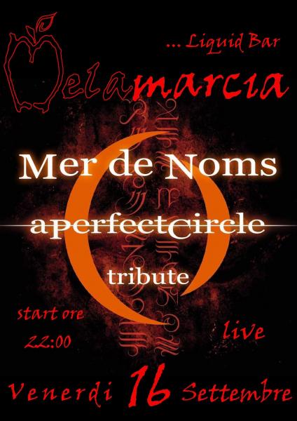 A Perfect Circle - Tribute Band - Mer de Noms - LIVE