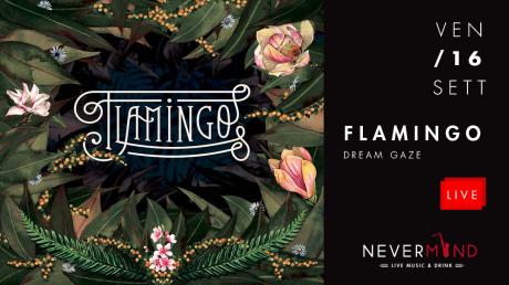 Flamingo al Nevermind 16 sett.
