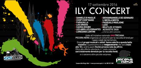 Un Concerto per Aiutare i Terremotati