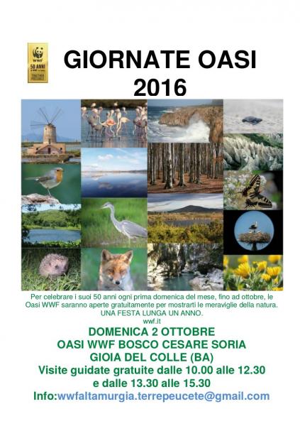 2 Ottobre GIOIA DEL COLLE -Giornate estive delle Oasi WWF 2016 -Oasi Bosco Cesare Sorìa