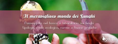 Il meraviglioso mondo dei funghi
