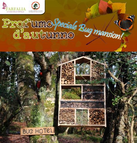 Profumo d'autunno - Speciale Bug Mansion