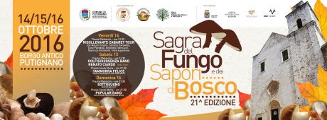 Sagra del Fungo e dei Sapori di Bosco XXI edizione