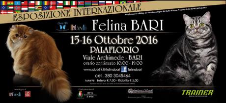 Esposizione Internazionale Felina di Bari