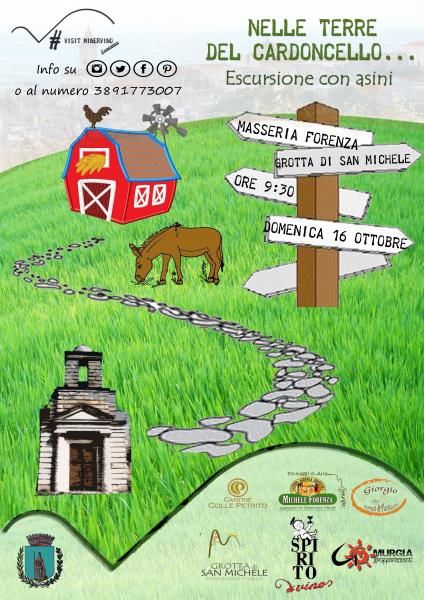 Nelle terre del Cardoncello - Escursione con Asini