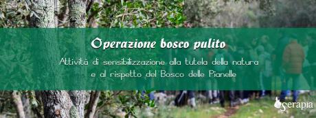 Operazione bosco pulito