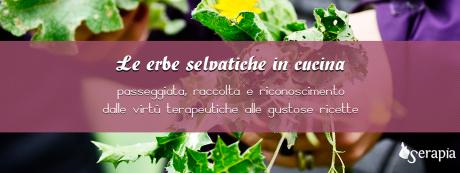 Le erbe selvatiche in cucina