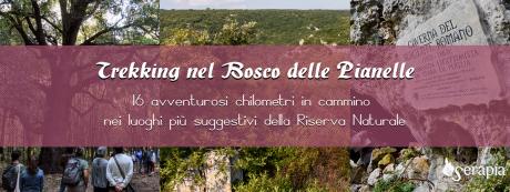 Trekking nel Bosco delle Pianelle