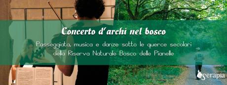 Concerto d'archi nel Bosco delle Pianelle