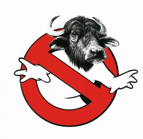 Inoltrare o no? Questo è il problema!