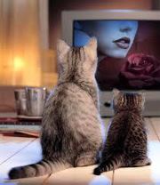 "Ben-Hur", Rassegna Cinematografica del Martedì