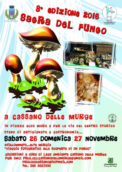 8° Sagra del Fungo Cardoncello