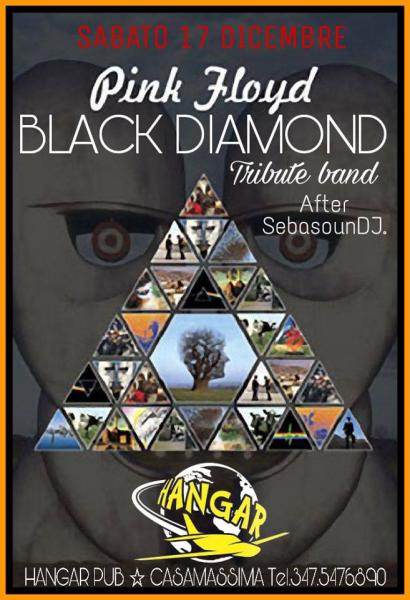 Black Diamond Pink Floyd Tribute Band After DJ.SET