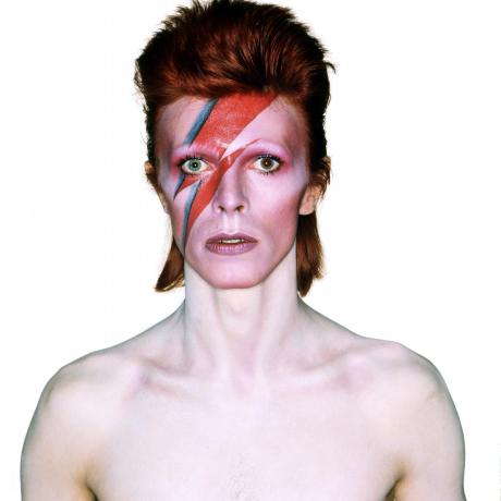 Bowie: the man who sold the rock