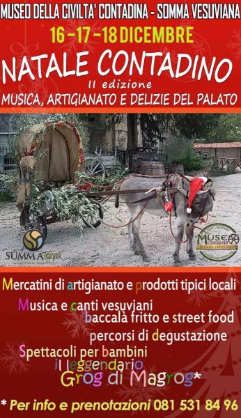 Natale Contadino