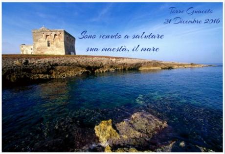 Fine anno a Torre Guaceto - Passeggiata in Riserva e saluto al Mare