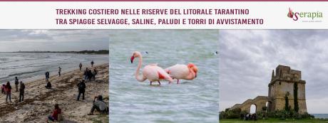 I fenicotteri della salina