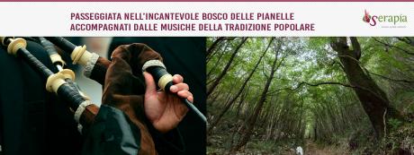 Zampognari nel Bosco delle Pianelle