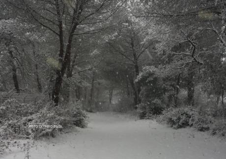 Trekking relax sulla neve