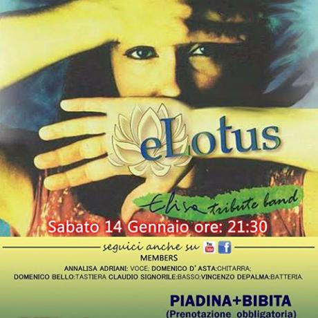 eLotus - Elisa Tribute band