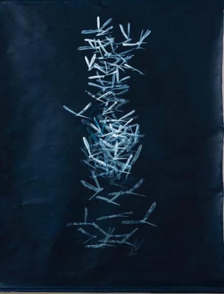 Dragonfly, la Mostra Personale di  Flavia Dodi