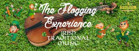 Irish traditional music live @Birrarium