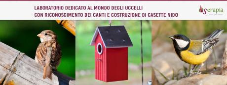 Le casette degli uccellini