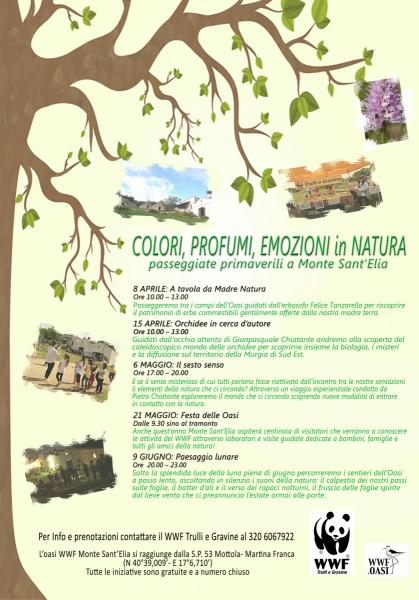 Colori, Profumi, Emozioni in Natura. Passeggiate Primaverili a Monte Sant'Elia
