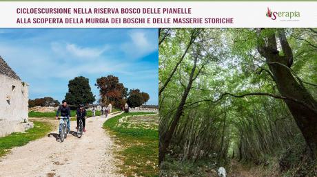 In bici nel Bosco delle Pianelle
