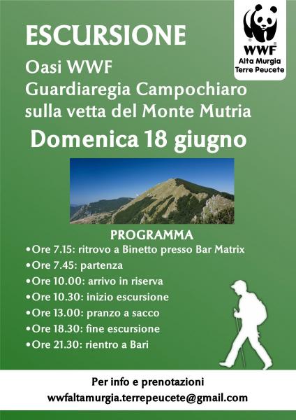 Oasi WWF Guardiaregia Campochiaro, sulla vetta del Monte Mutria