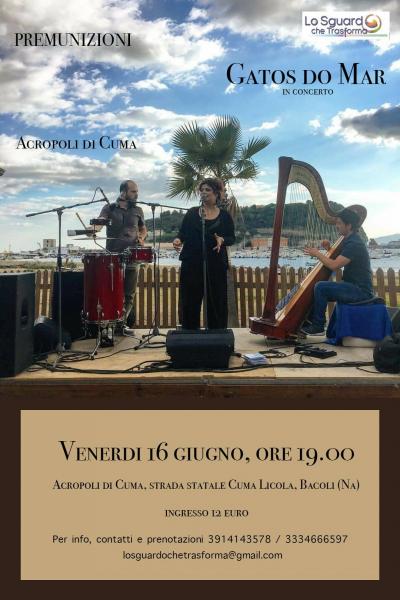 Concerto dei Gatos do Mar
