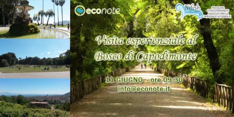 Visita esperienziale al Bosco di Capodimonte: architettura, natura e bioenergetica – 11 Giugno