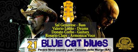 BLUE CAT BLUES live