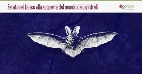 La notte dei pipistrelli